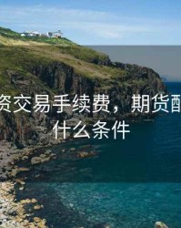 期货配资交易手续费，期货配资需要什么条件