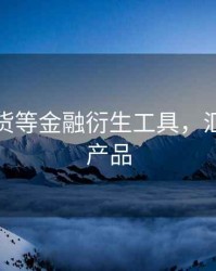 汇率期货等金融衍生工具，汇率衍生产品