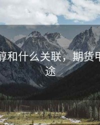 期货甲醇和什么关联，期货甲醇的用途