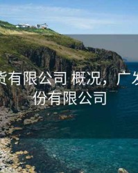 广发期货有限公司 概况，广发期货股份有限公司