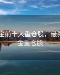2020基金前十大重仓股，最新十大基金重仓股