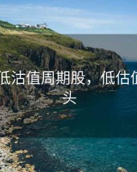 2020低低沽值周期股，低估值周期龙头