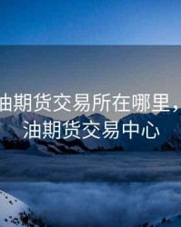 中国原油期货交易所在哪里，中国原油期货交易中心