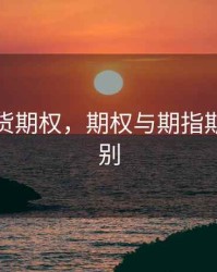 期指期货期权，期权与期指期货的区别