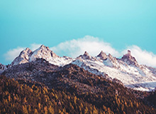 长宁区期货公司,上海期货有限公司