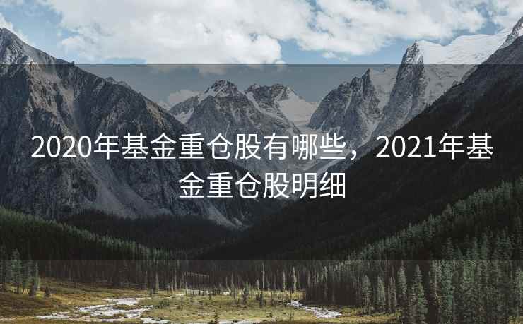 2020年基金重仓股有哪些，2021年基金重仓股明细