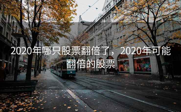 2020年哪只股票翻倍了，2020年可能翻倍的股票