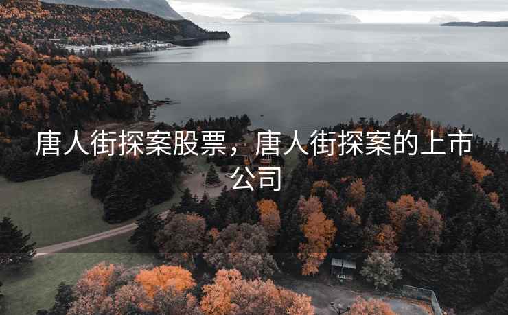 唐人街探案股票，唐人街探案的上市公司
