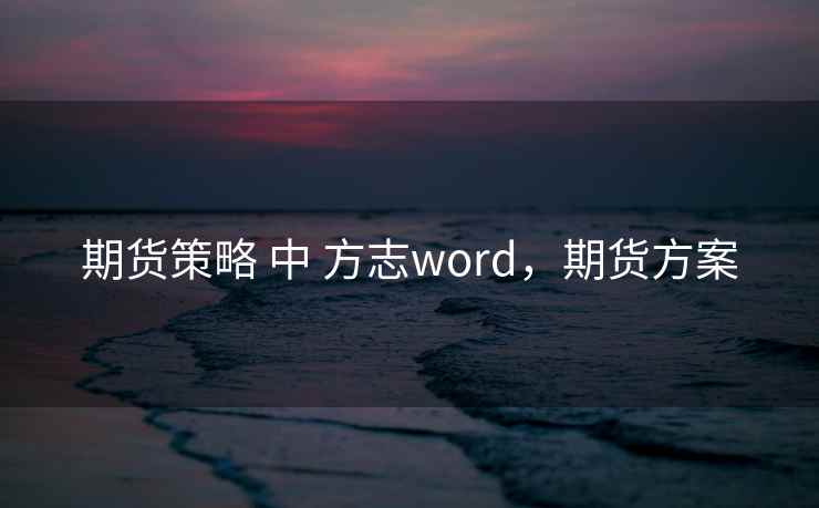 期货策略 中 方志word，期货方案