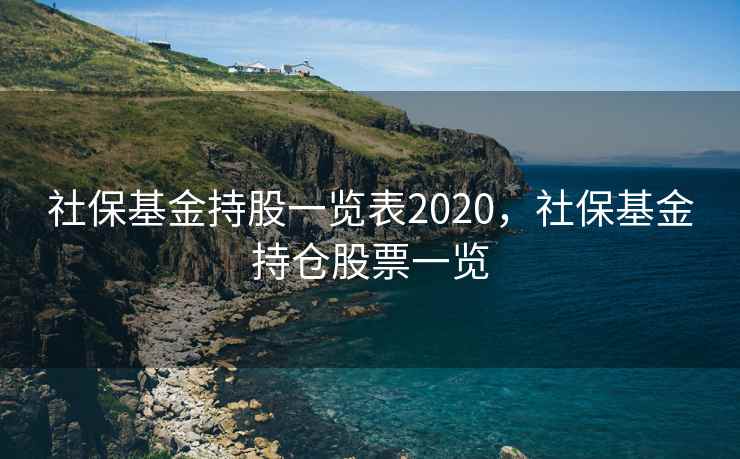 社保基金持股一览表2020，社保基金持仓股票一览