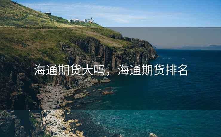 海通期货大吗，海通期货排名