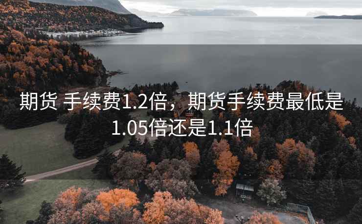 期货 手续费1.2倍，期货手续费最低是1.05倍还是1.1倍