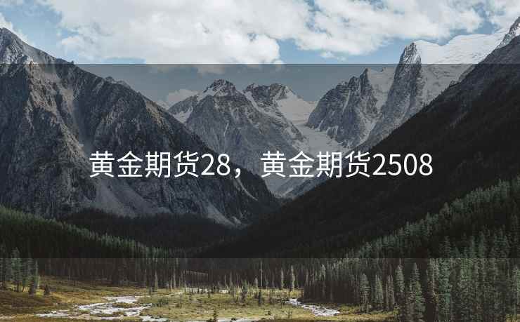 黄金期货28,黄金期货2508 黄金期货28,黄金期货2508
