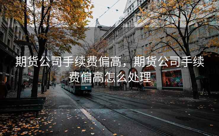 期货公司手续费偏高，期货公司手续费偏高怎么处理