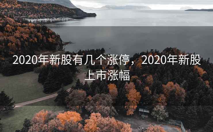 2020年新股有几个涨停，2020年新股上市涨幅
