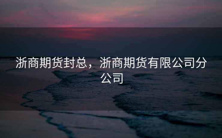 浙商期货封总，浙商期货有限公司分公司
