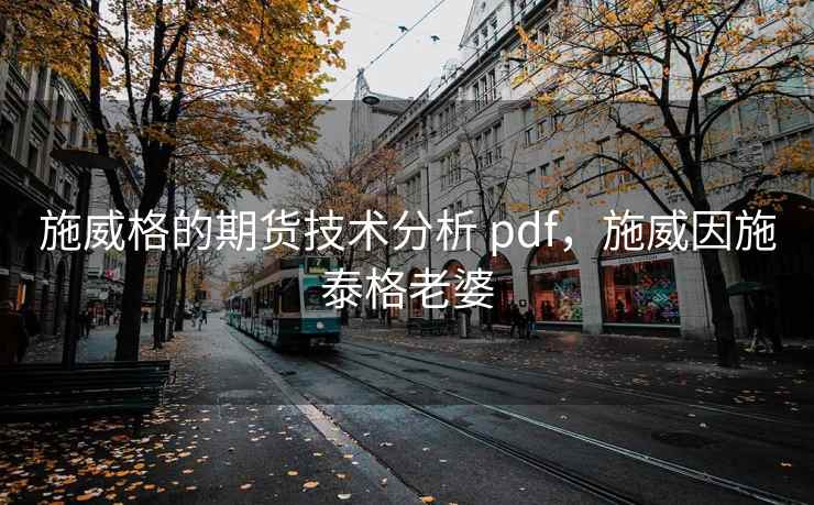 施威格的期货技术分析 pdf，施威因施泰格老婆