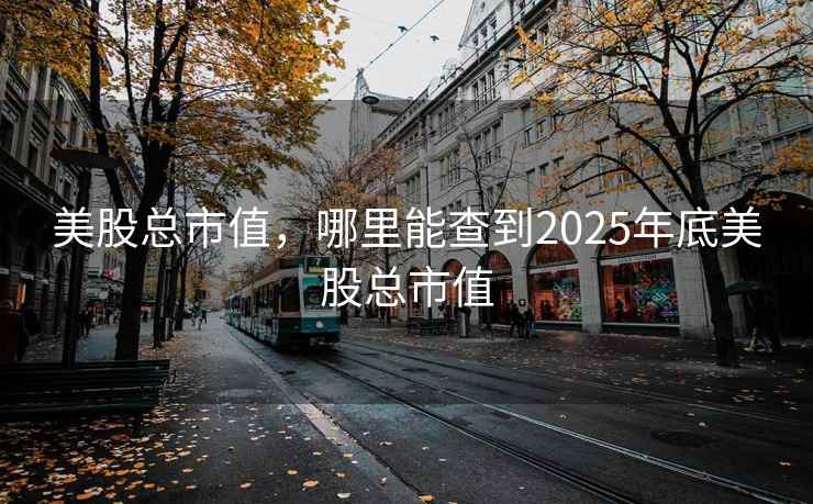 美股总市值，哪里能查到2025年底美股总市值