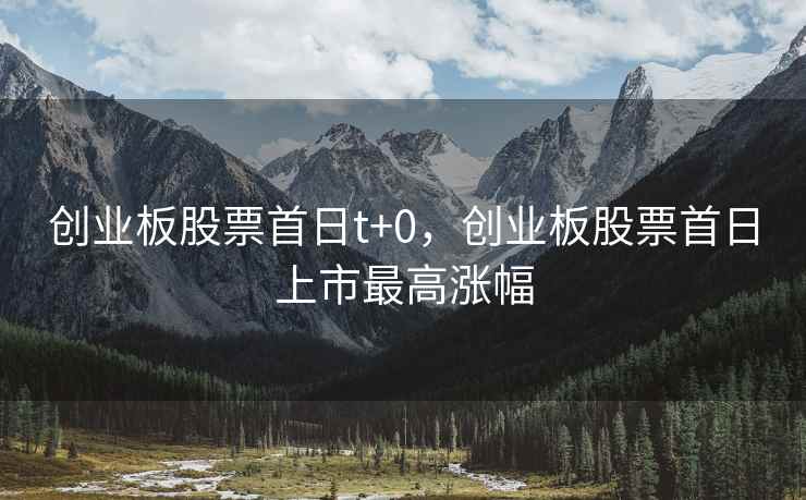 创业板股票首日t+0，创业板股票首日上市最高涨幅