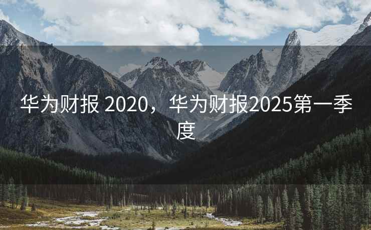 华为财报 2020，华为财报2025第一季度