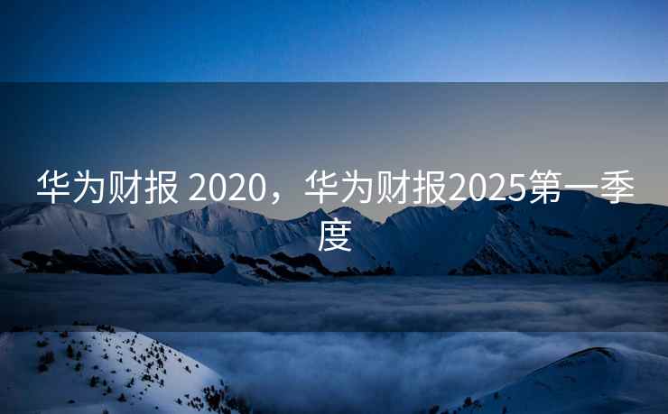 华为财报 2020，华为财报2025第一季度