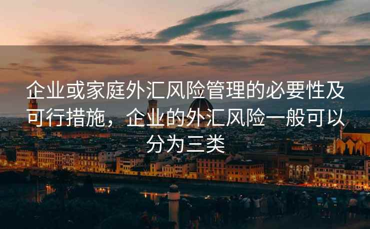 企业或家庭外汇风险管理的必要性及可行措施，企业的外汇风险一般可以分为三类