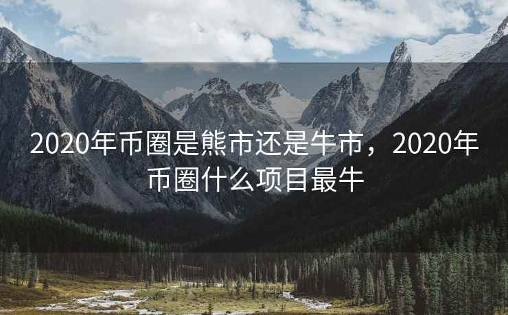 2020年币圈是熊市还是牛市，2020年币圈什么项目最牛