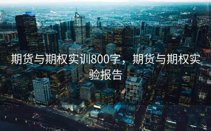期货与期权实训800字，期货与期权实验报告